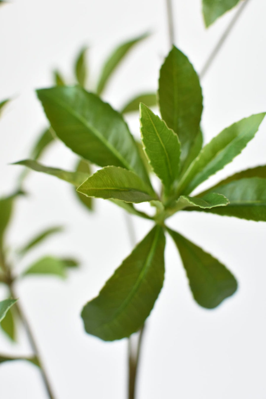 35" Faux Schefflera Leaf Branch Stem