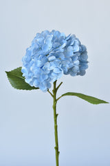 faux Blue Real Touch Hydrangea with green leaves and stem on a white background