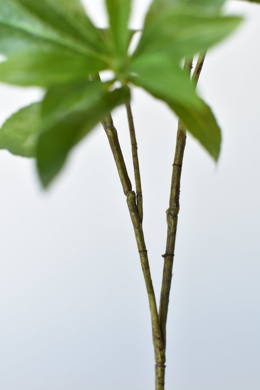 35" Faux Schefflera Leaf Branch Stem