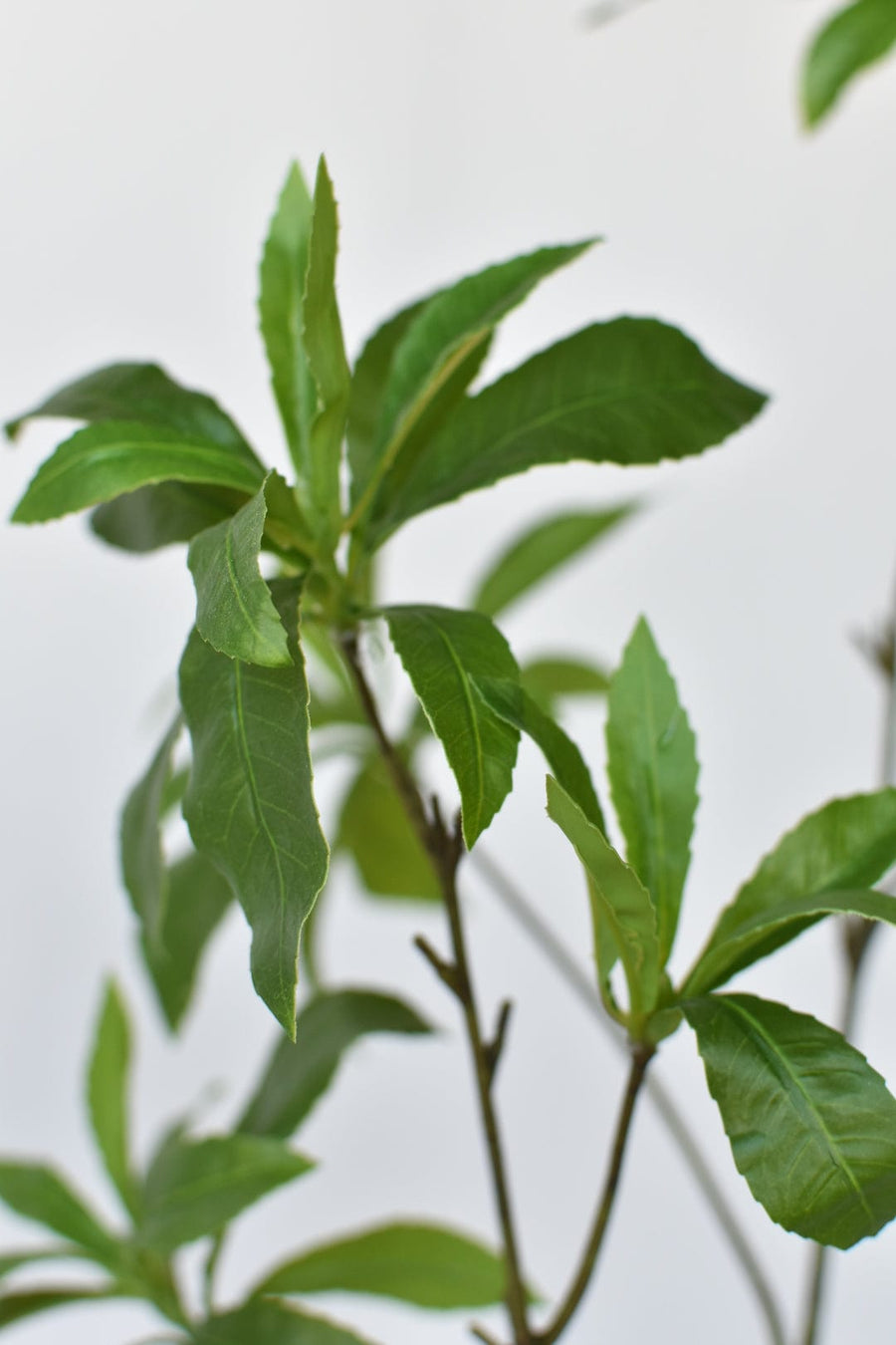 35" Faux Schefflera Leaf Branch Stem