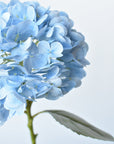 19" Faux Blue Real Touch Hydrangea