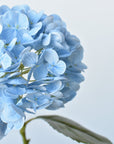 19" Faux Blue Real Touch Hydrangea