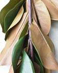 60" Deluxe Faux Magnolia Garland