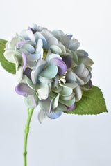 closeup faux blue purple real touch hydrangea blossom green leaves and green stem on a white background