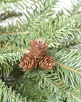 24" Faux Green Spruce Real Touch Wreath w/Faux Pinecones