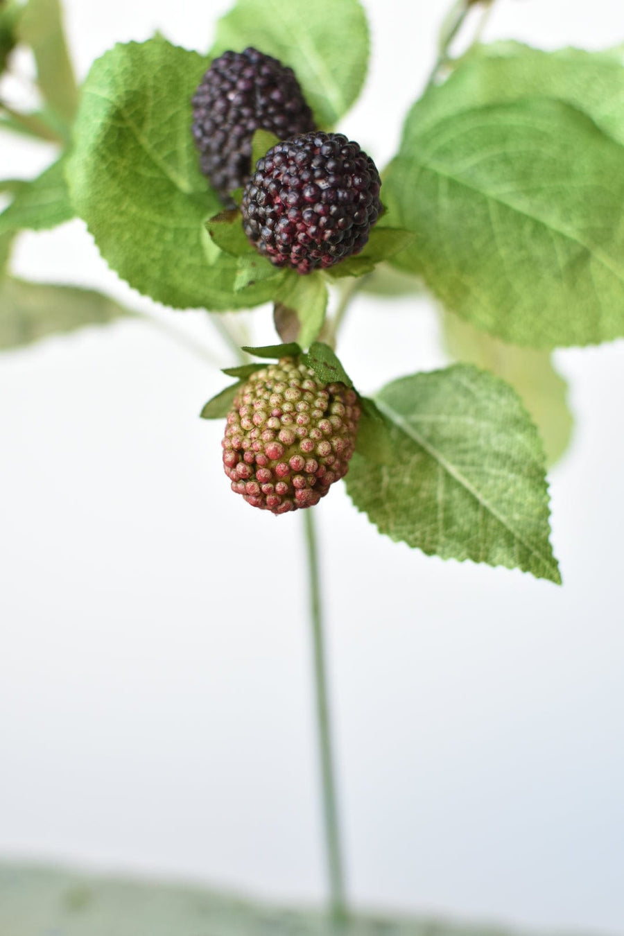 11" Faux Blackberry Stem