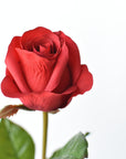 23" Faux Red Rose Bud Stem
