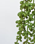 13" Faux String of Pearl Succulent Stem