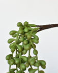 13" Faux String of Pearl Succulent Stem
