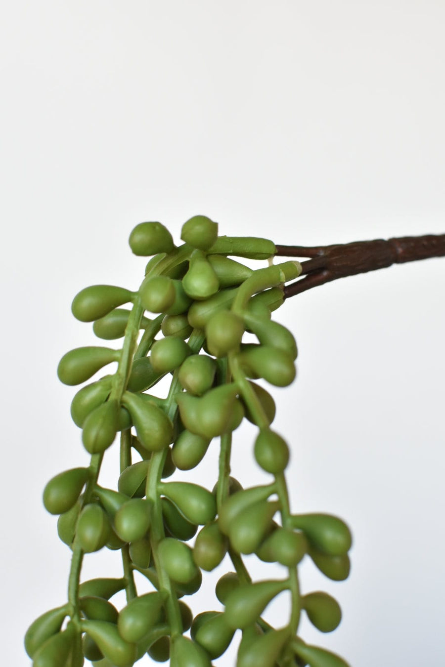 13" Faux String of Pearl Succulent Stem