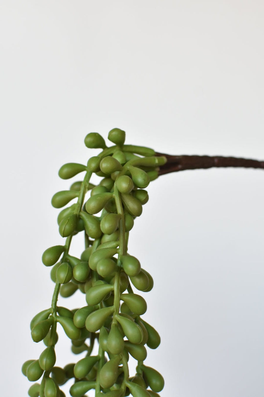 13" Faux String of Pearl Succulent Stem
