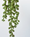 13" Faux String of Pearl Succulent Stem