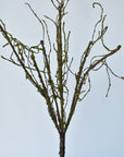 42" Faux Moss Tree Branch