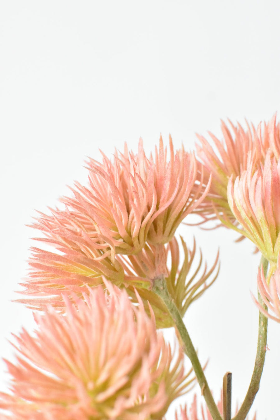 19" Faux Coral Pink Thistle Stem