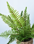 15" Faux Boston Fern in Seagrass Basket Container