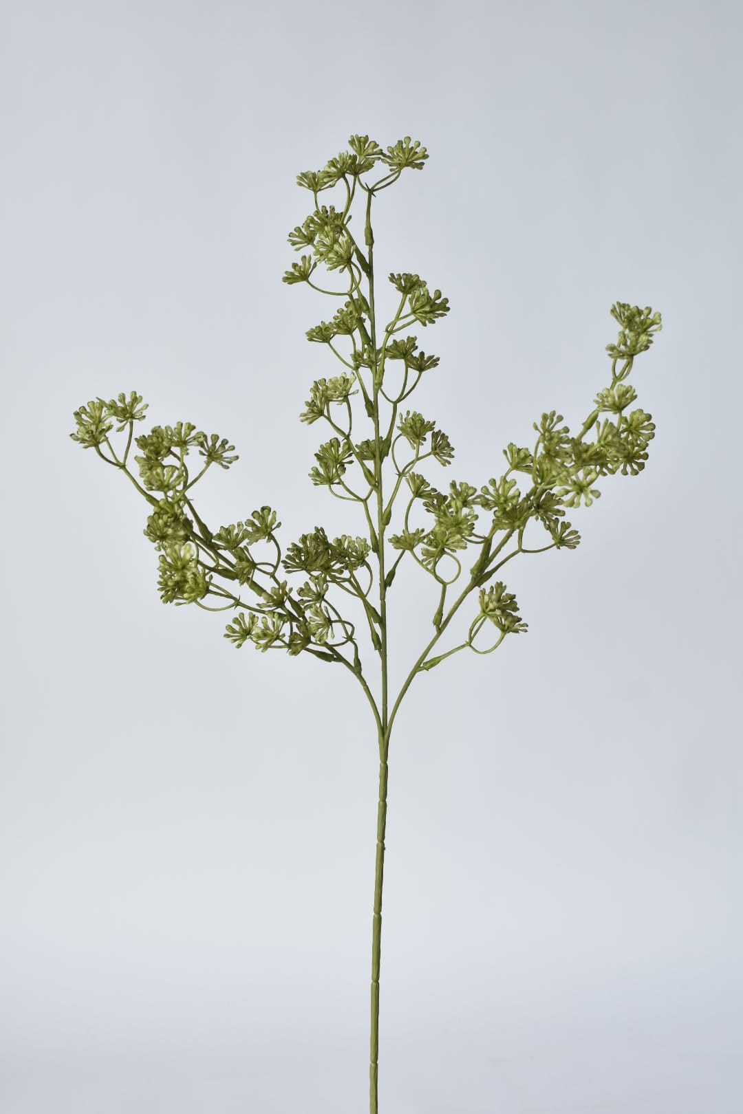 Close-up of faux green sedum plant branches on a light gray background