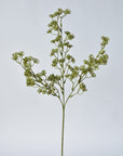 Close-up of faux green sedum plant branches on a light gray background