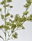 Close-up of faux green sedum plant branches on a light gray background