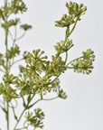 Close-up of faux green sedum plant branches on a light gray background