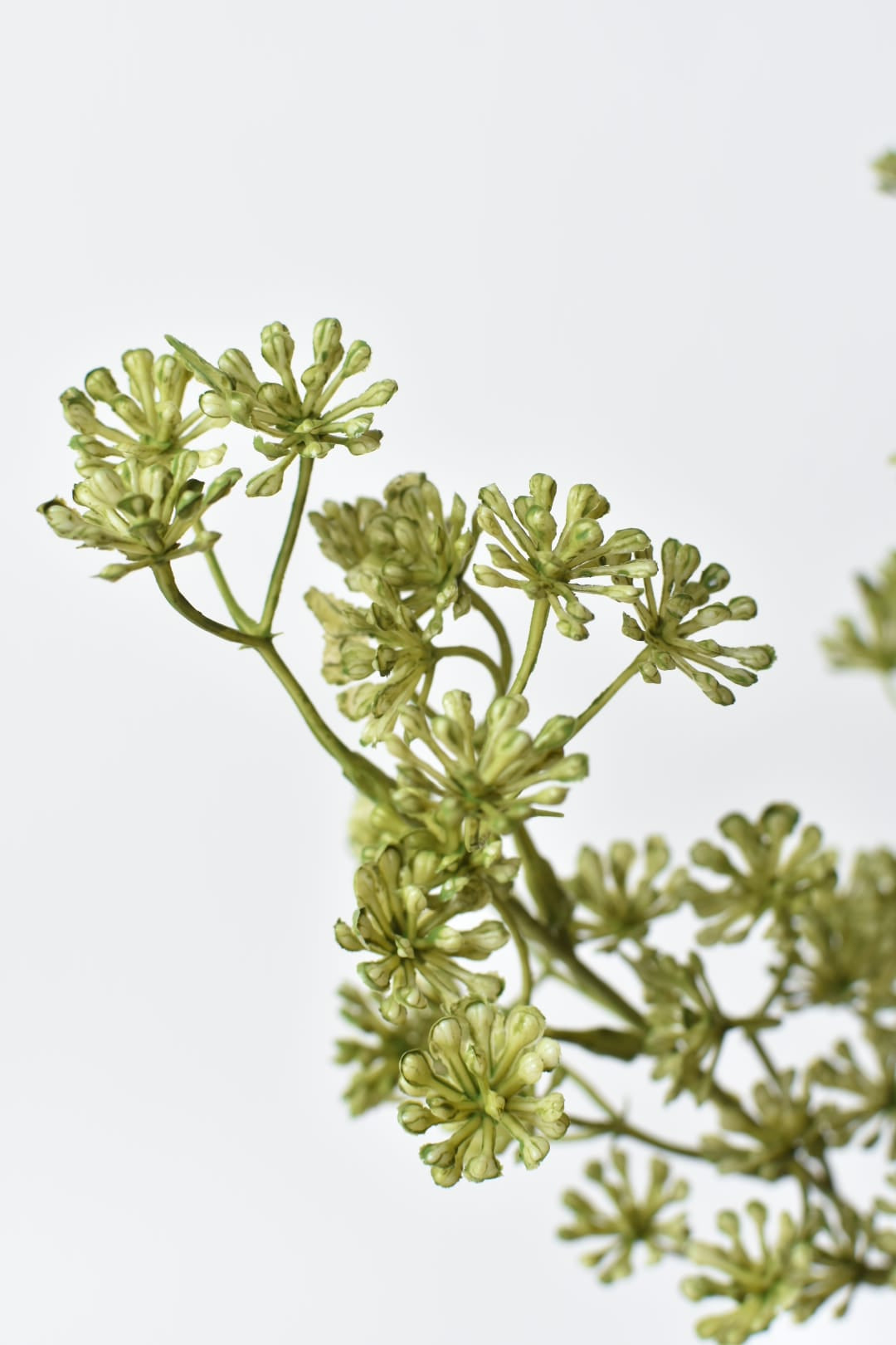 Close-up of faux green sedum plant branches on a light gray background
