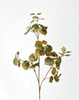 Artificial smokebush foliage stem for neutral fall decor without orange