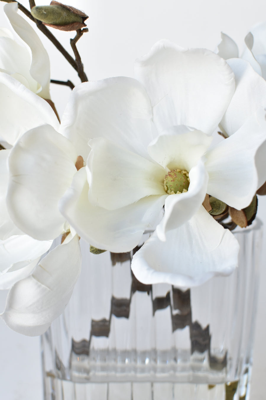 Slim White Magnolia in Reeded Glass Arrangement