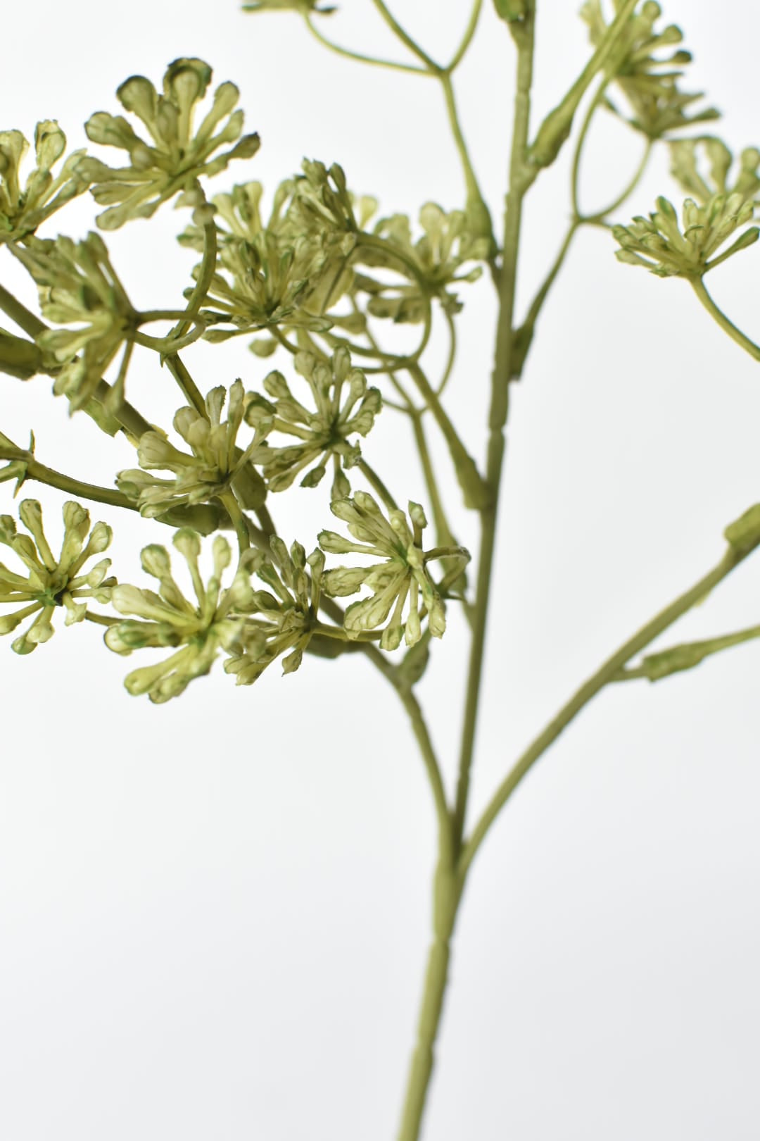 Close-up of faux green sedum plant branches on a light gray background