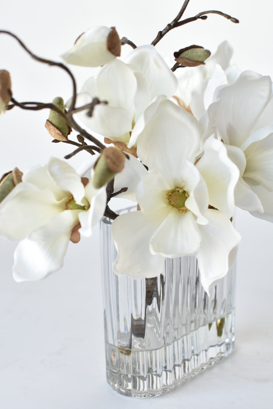 Slim White Magnolia in Reeded Glass Arrangement