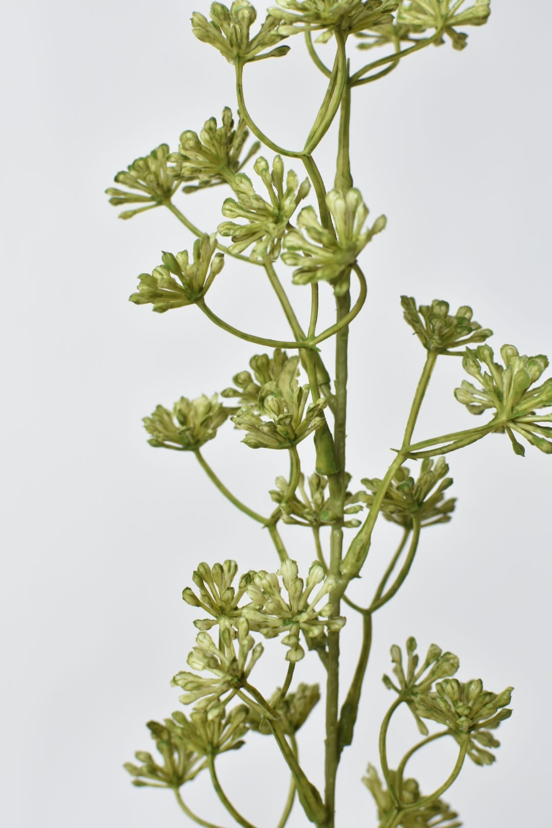 Close-up of faux green sedum plant branches on a light gray background