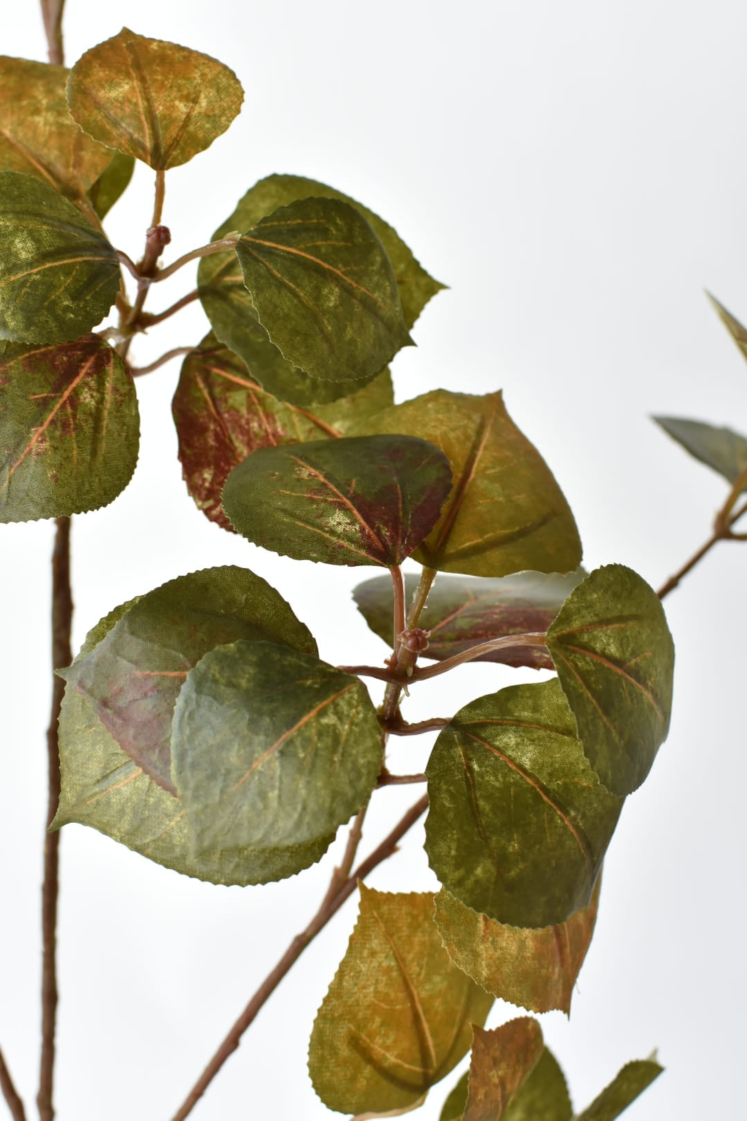 Faux smokebush stem with 60 rounded leaves across three branches