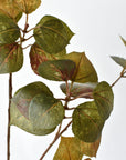 Faux smokebush stem with 60 rounded leaves across three branches