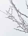 31" Faux Ice Glittered Twig Bundle (3 Stems)