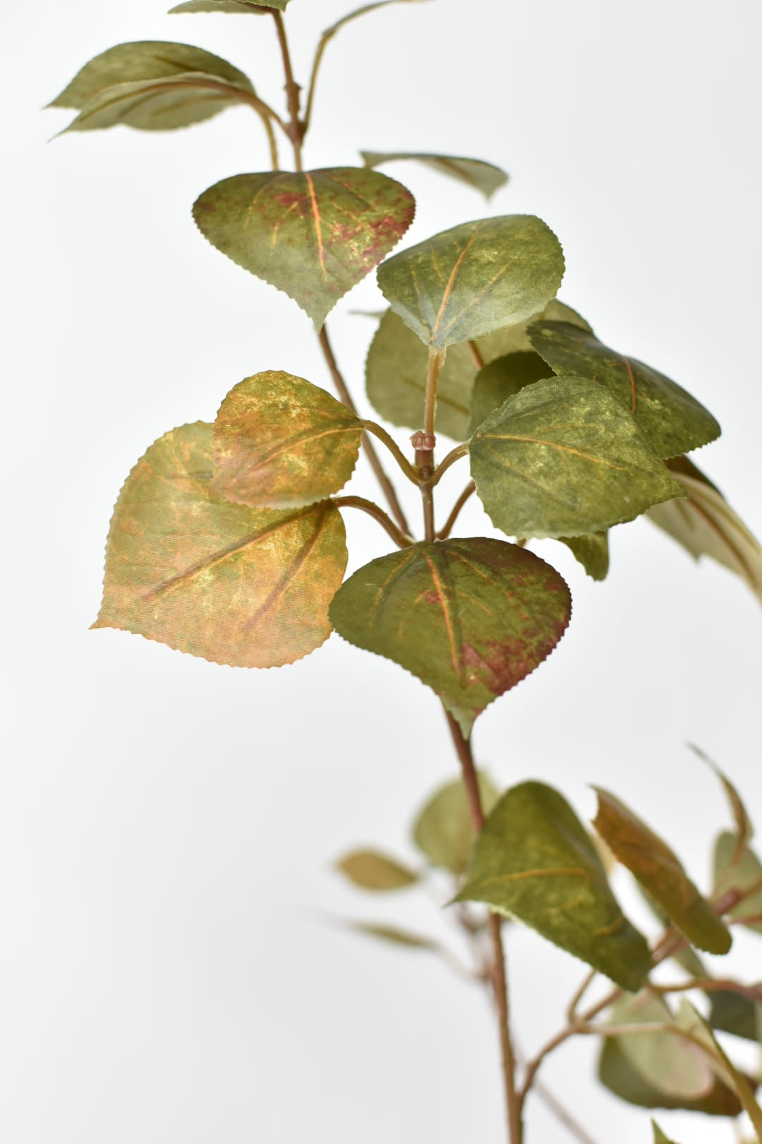 Wired faux smokebush branch that bends and shapes for arrangements