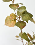 Wired faux smokebush branch that bends and shapes for arrangements