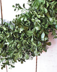 22" Faux Boxwood Door Wreath
