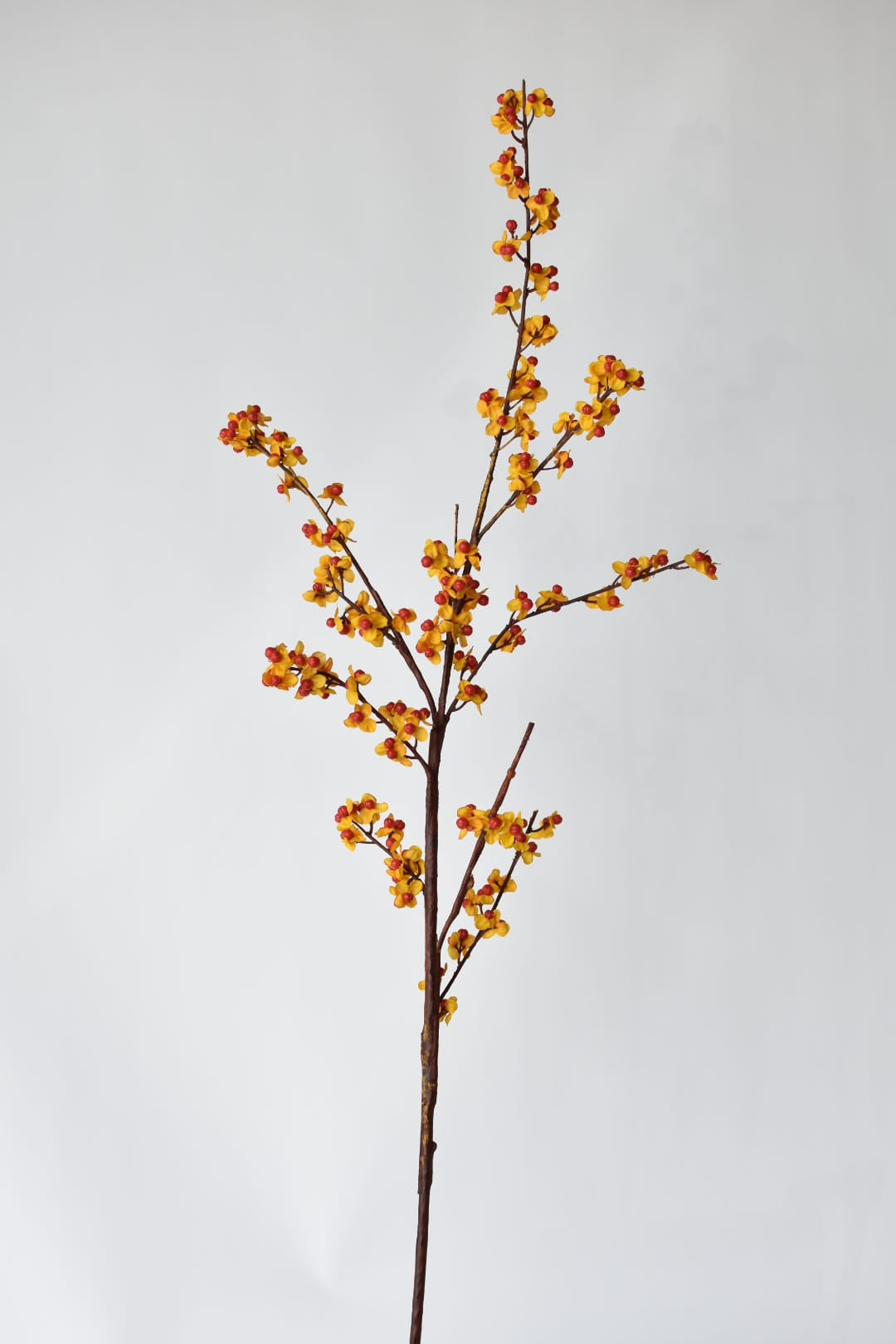 Orange faux bittersweet berry branch, sold by the stem