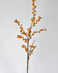 Orange faux bittersweet berry branch, sold by the stem