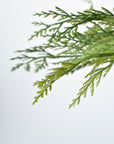 14" Faux Cedar Candle Ring (Fits up to a 3" Pillar Candle) CR1