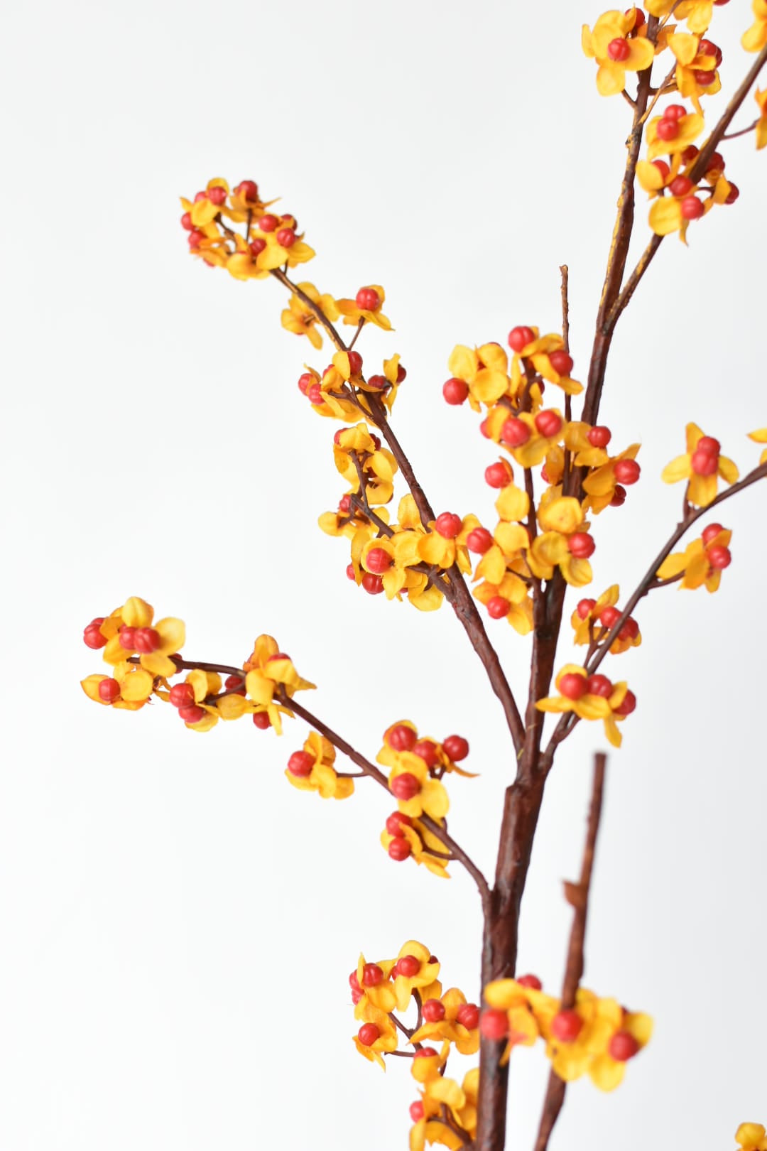 Wired faux bittersweet branch bent into a curved shape