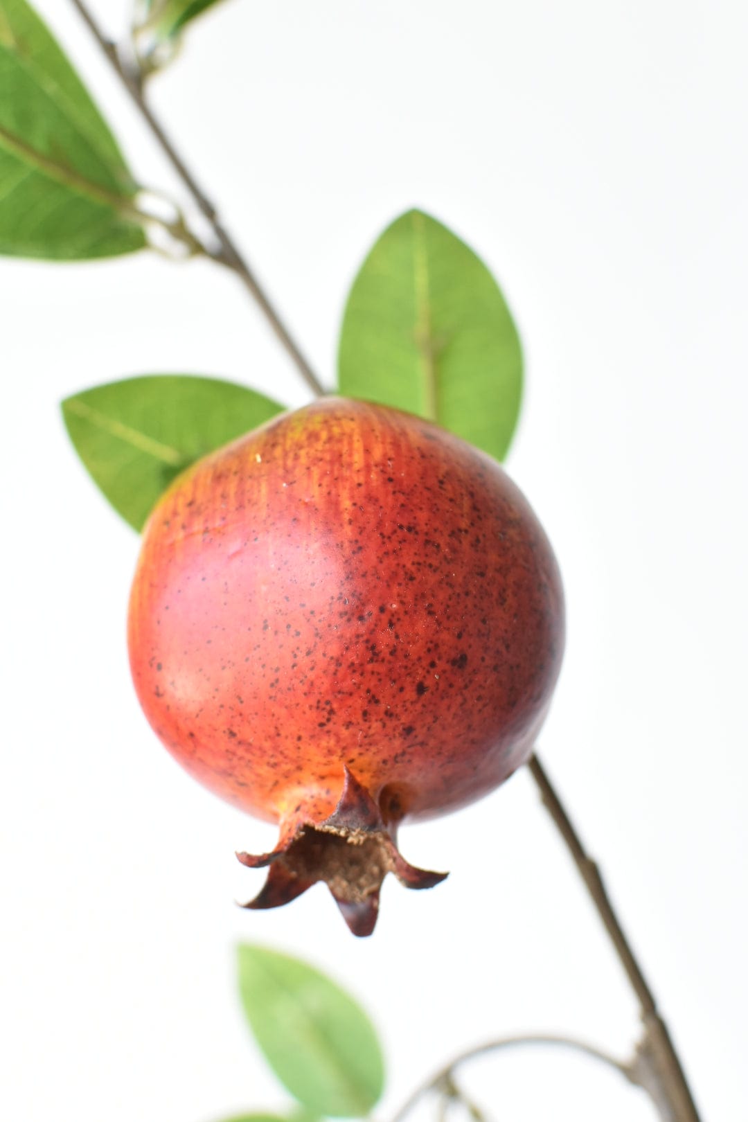 Realistic faux pomegranates with a crown at the end of each fruit on a tall branch