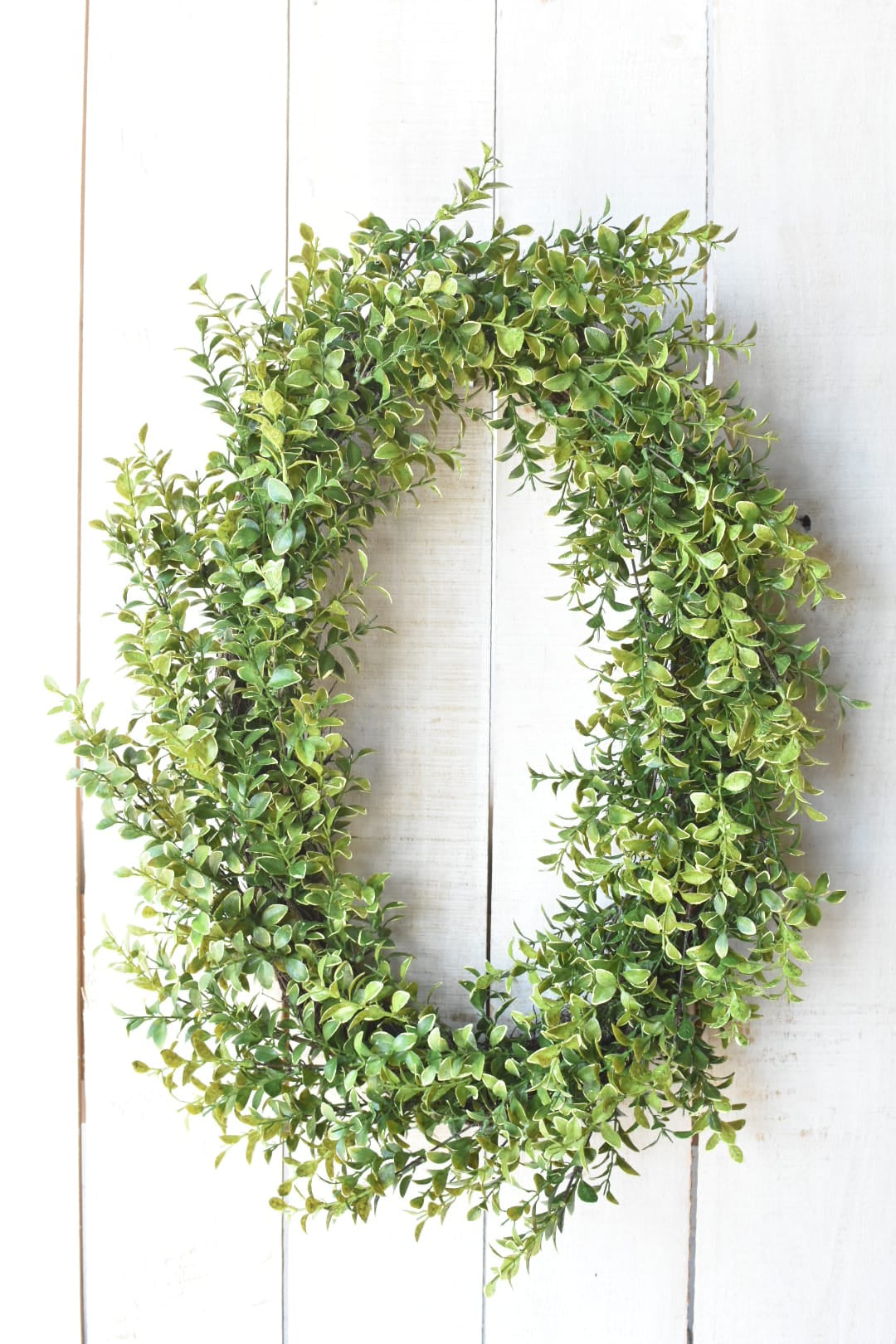 faux Variegated boxwood oval wreath on white board background