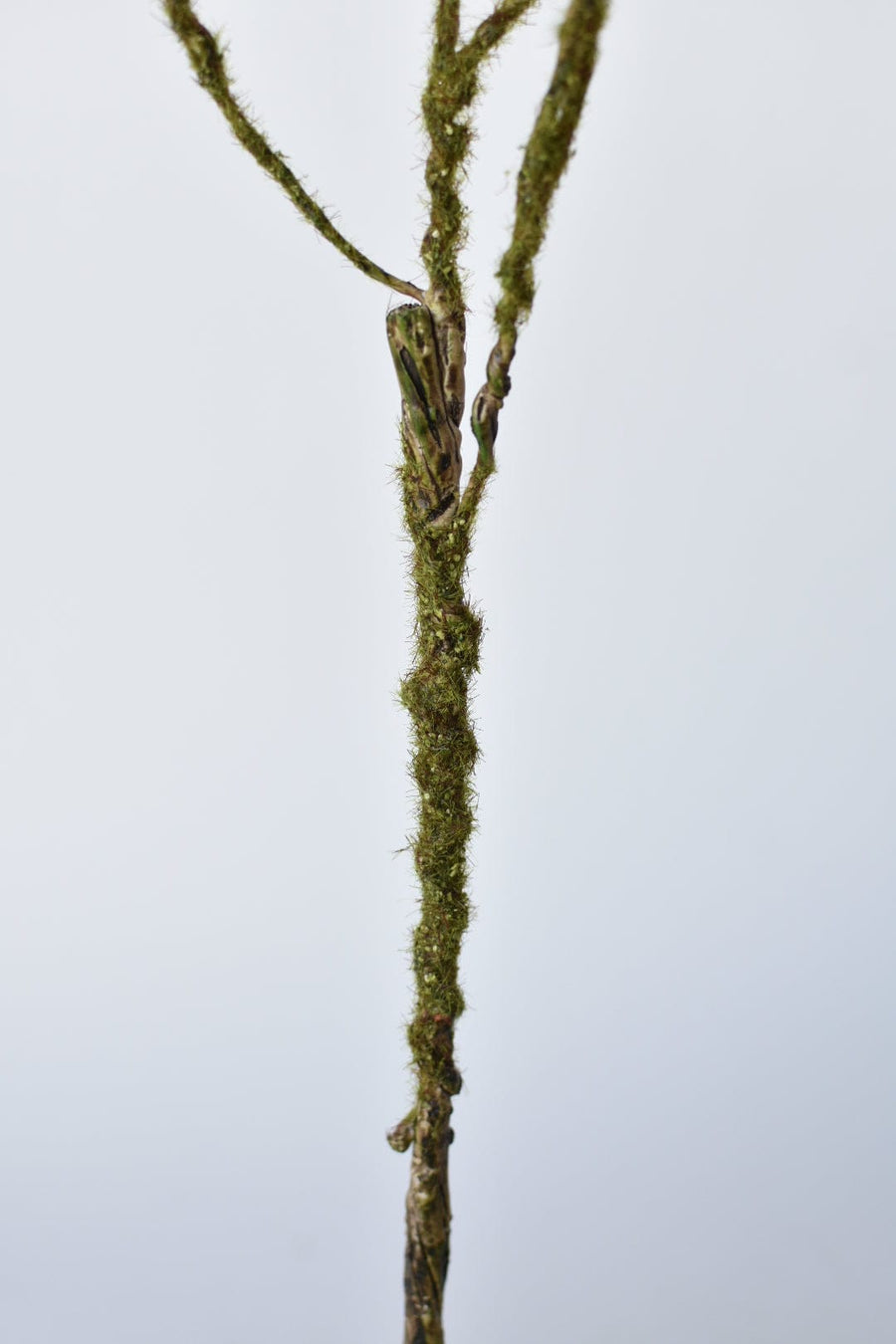 36" Faux Mossy Brown Twig Branch Stem