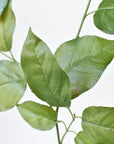 31" Faux Real Touch Lemon Leaf Branch Stem