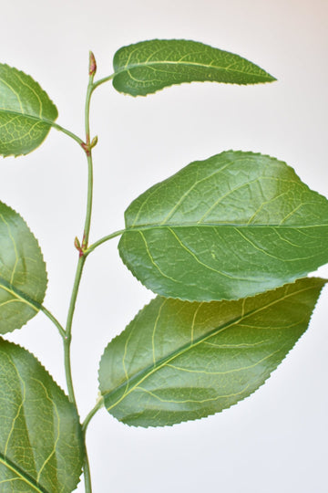 31" Faux Real Touch Lemon Leaf Branch Stem