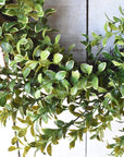 close up faux Variegated boxwood oval wreath on white board background