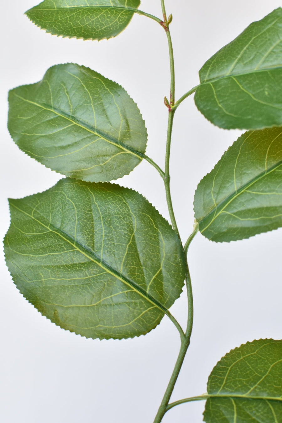 31" Faux Real Touch Lemon Leaf Branch Stem