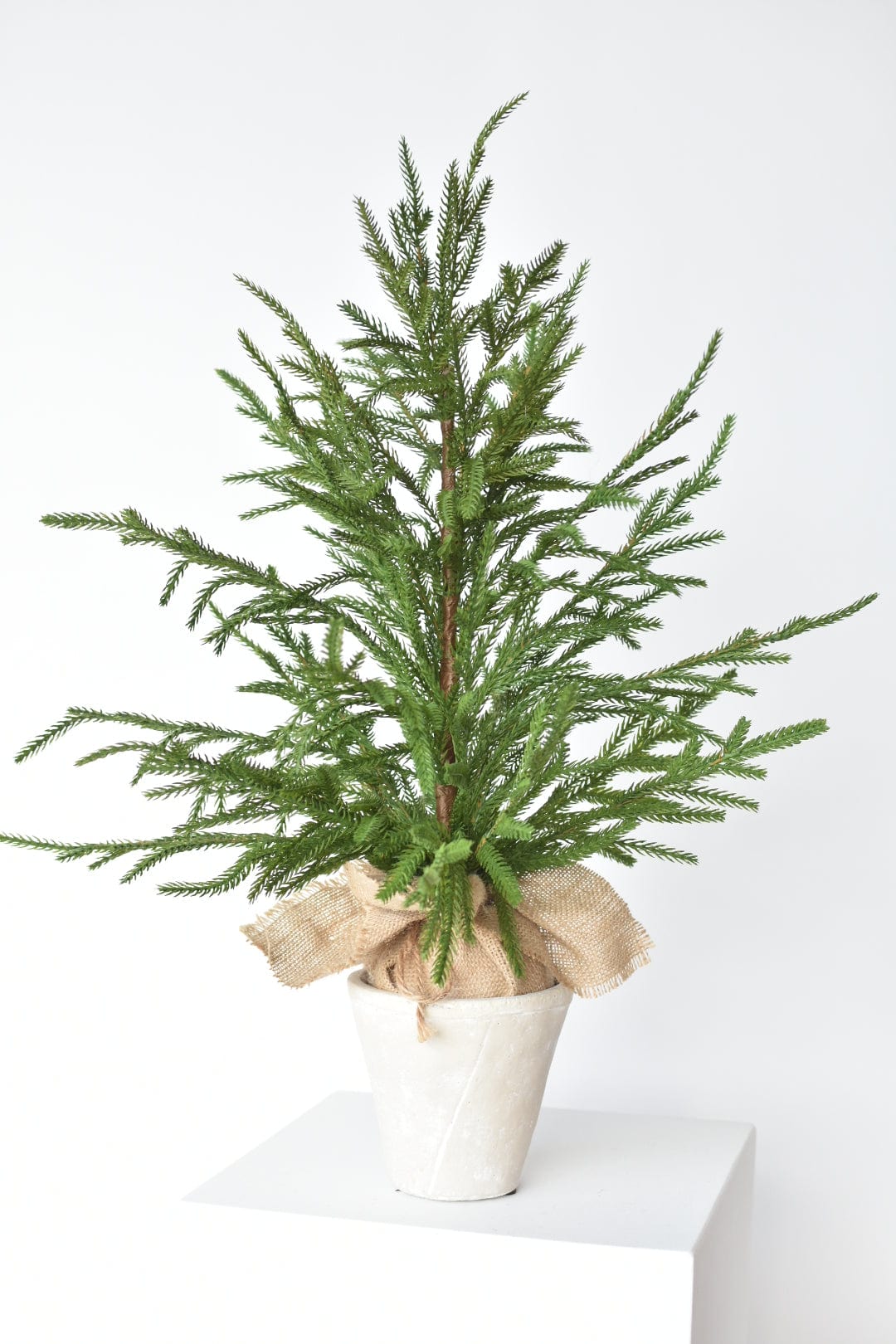 26" Faux Norfolk Tree in Stonemix Pot w/Burlap Root Ball