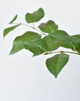 31" Faux Real Touch Lemon Leaf Branch Stem