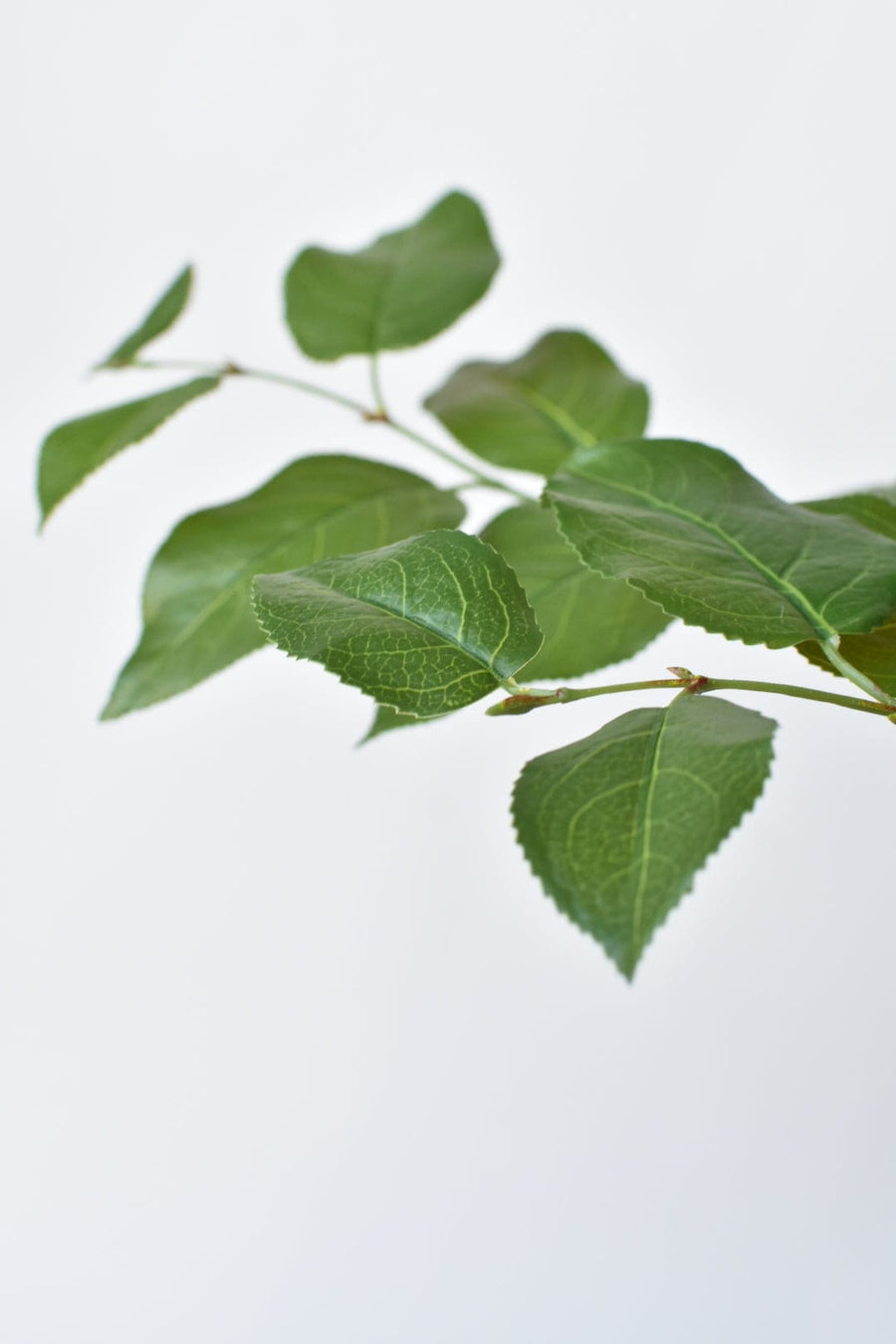 31" Faux Real Touch Lemon Leaf Branch Stem