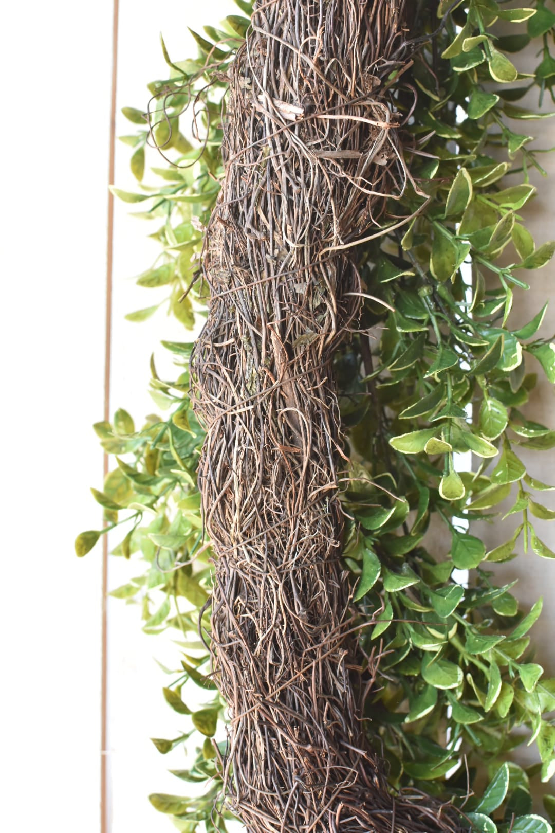 thin grapevine backside on faux Variegated boxwood oval wreath on white board background